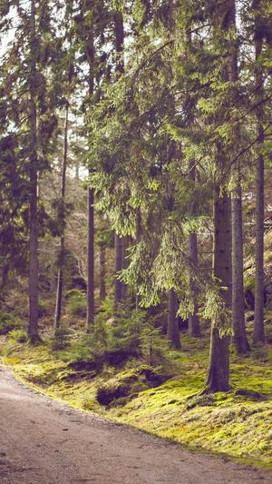 吃瓜网今日吃瓜截图4