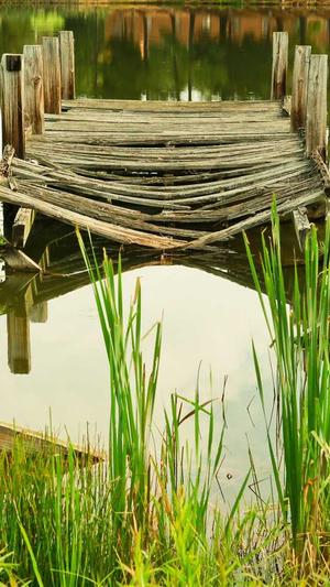 101王晴黑料截图3