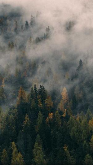 谭松韵黑料截图3