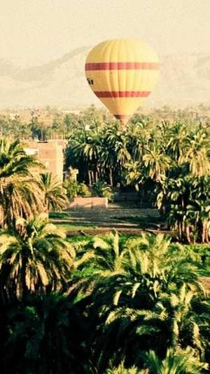 声优林簌的黑料截图1