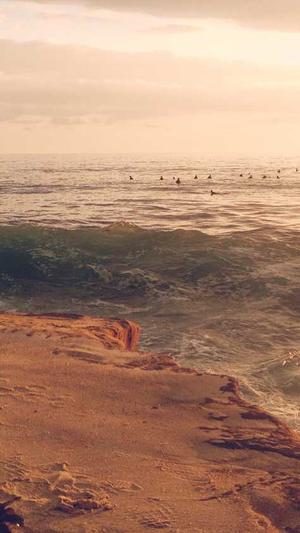 关晓彤黑料截图1