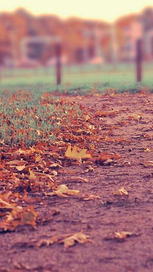 51吃瓜网最新截图2