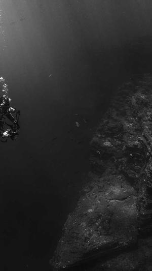 哈密瓜适合减肥吃吗截图1