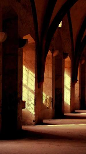 狗可不可以吃哈密瓜截图1