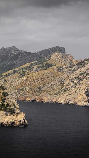 soeg黑料正能量截图2