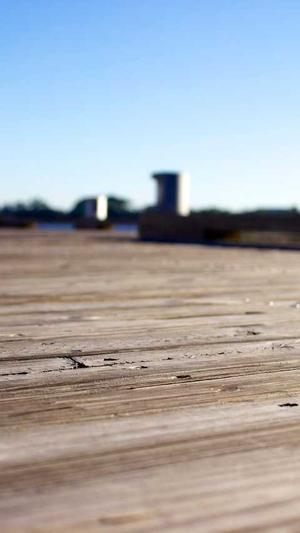 黑料不打烊688su母女截图2