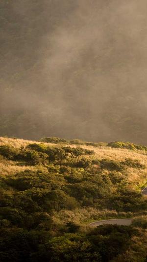 哈密瓜禁忌晚上吃截图2