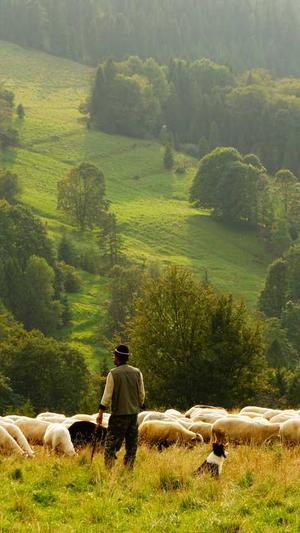 痞幼黑料是什么怎么找截图3