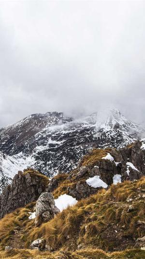 冲哥黑料正能量截图1