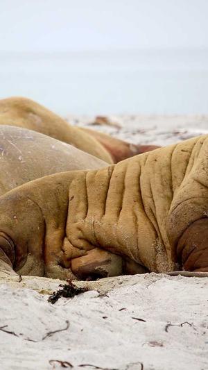 黑料网吃瓜网截图1