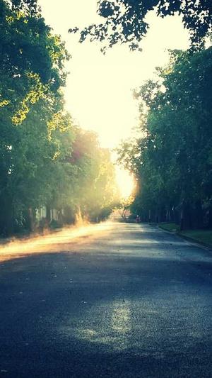 哈密瓜怎么吃截图2