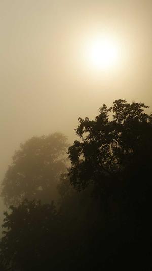 91黑料怎么填写邀请码截图4