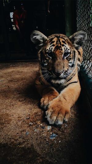 51吃瓜今日吃瓜入口网址截图3