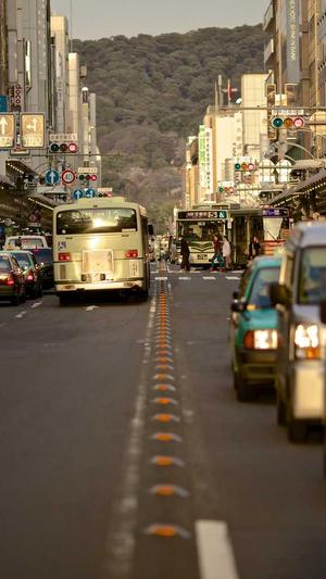 黑料影帝,养崽爆红截图2