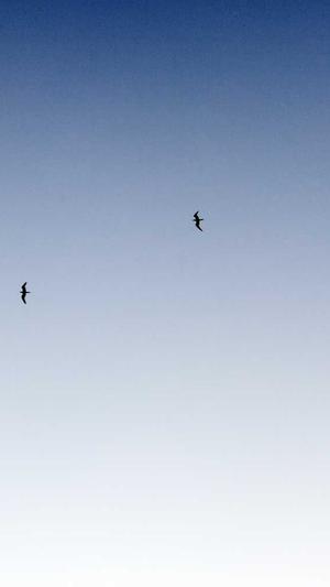 周洁琼黑料截图2