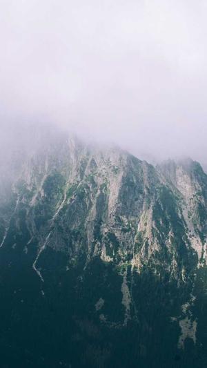 吃瓜娱乐圈截图3