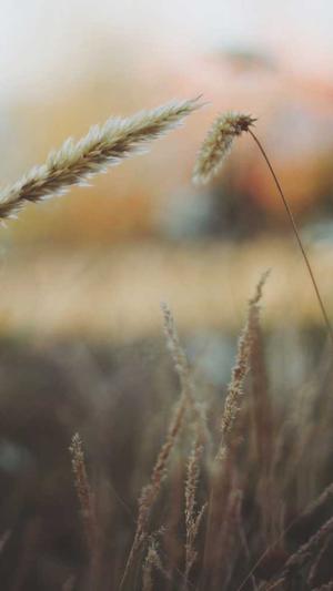 黑料不打烊 地址截图1