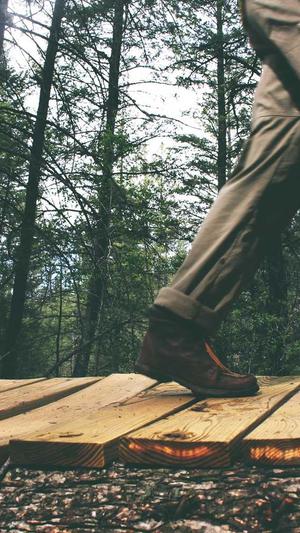 黑料正能量index截图5