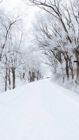 17cgcg吃瓜网黑料爆料截图3