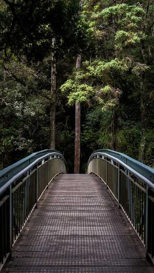 瓠子瓜怎么吃截图4