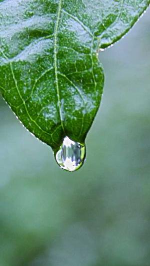 吃哈密瓜的季节截图1