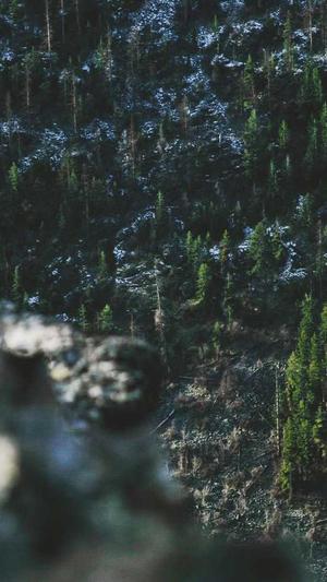 黑料正能量首页截图4