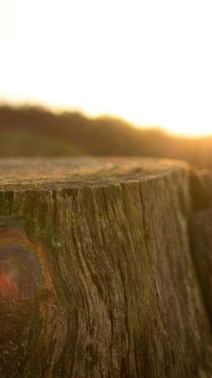 今日吃瓜51cg热门大瓜截图3