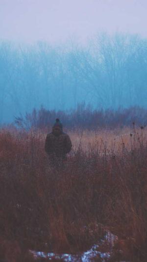 中午吃哈密瓜会胖吗截图3