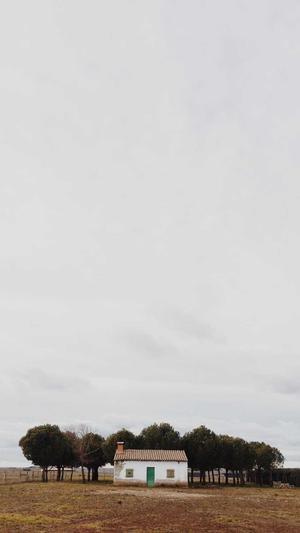 zztt45黑料不打烊截图3