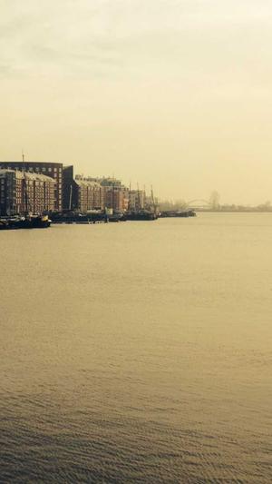 黑料影帝,养崽爆红截图1