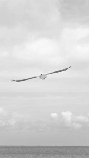 黑料不打烊,痞幼截图5