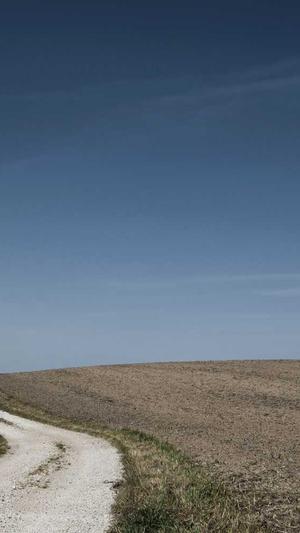 今日吃瓜51吃瓜截图3