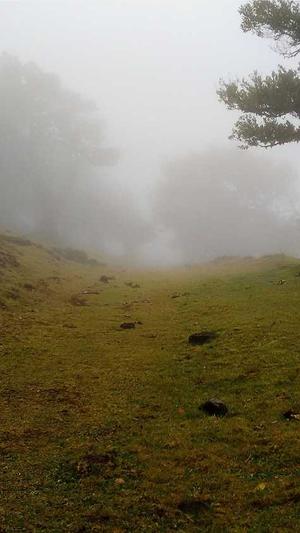 黑料不打烊网站截图2