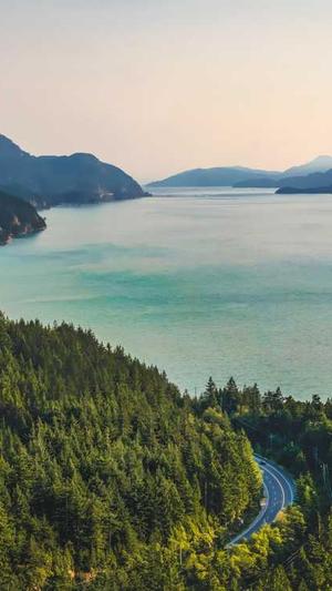 豆瓣吃瓜小组暗号截图4