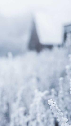 辛芷蕾黑料截图2