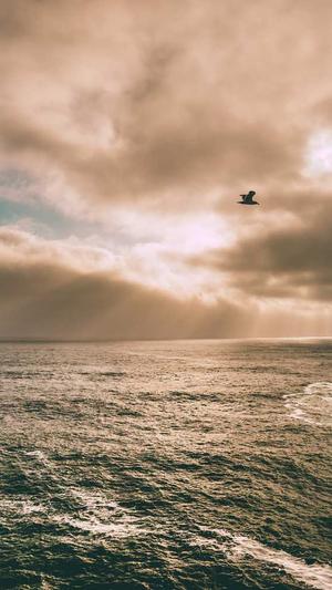 51网红吃瓜截图2