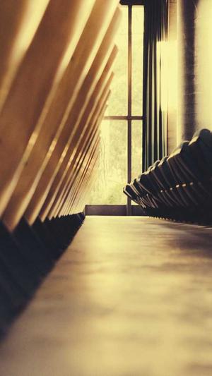 王琳凯黑料截图3