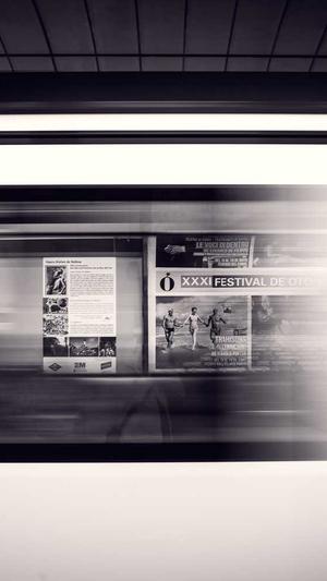 狗可以吃哈密瓜吗截图4